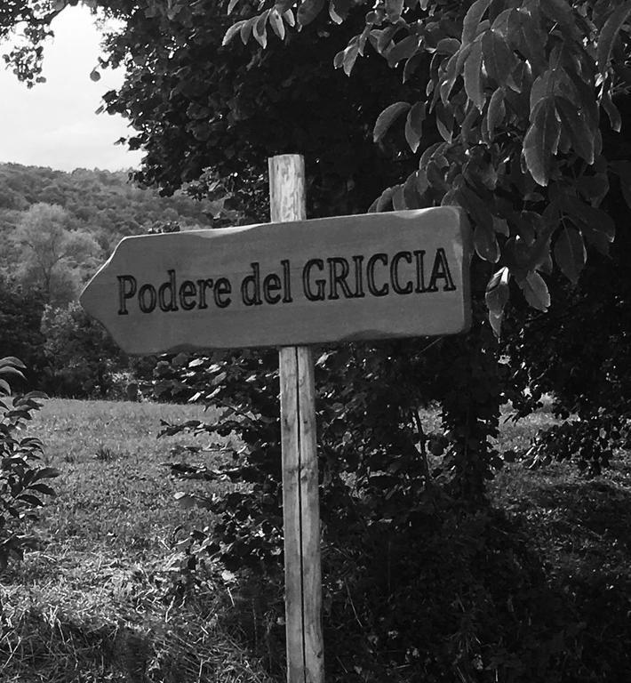 Podere Del Griccia Civitella in Val di Chiana Εξωτερικό φωτογραφία