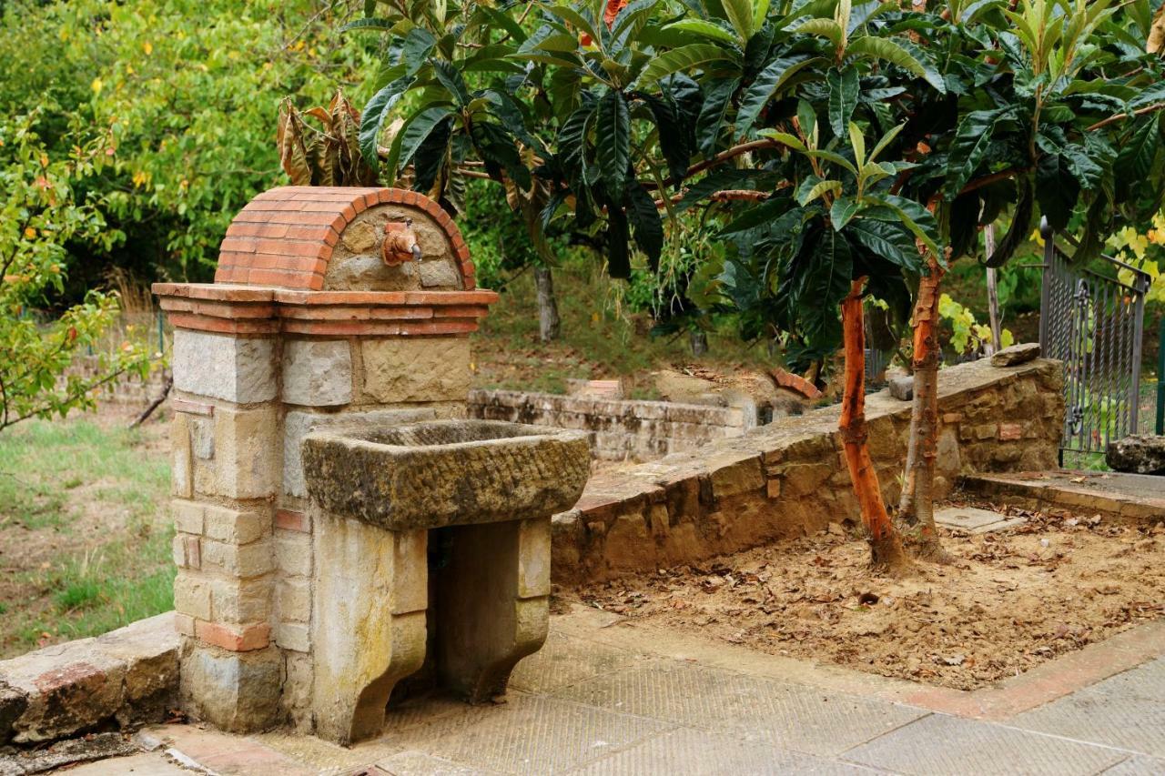 Podere Del Griccia Civitella in Val di Chiana Εξωτερικό φωτογραφία